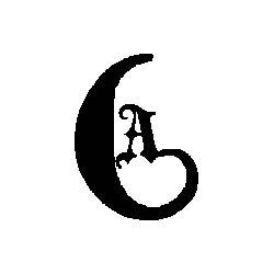 Crescent Apparel NYC